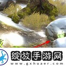 夺笋高手彩蛋攻略