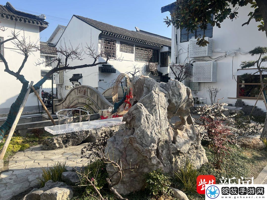 苏州十全街如何持续“出圈”青年沙龙共谋新招！