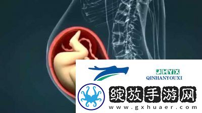 双腿间硬硬的胎头湿漉漉的挤出来