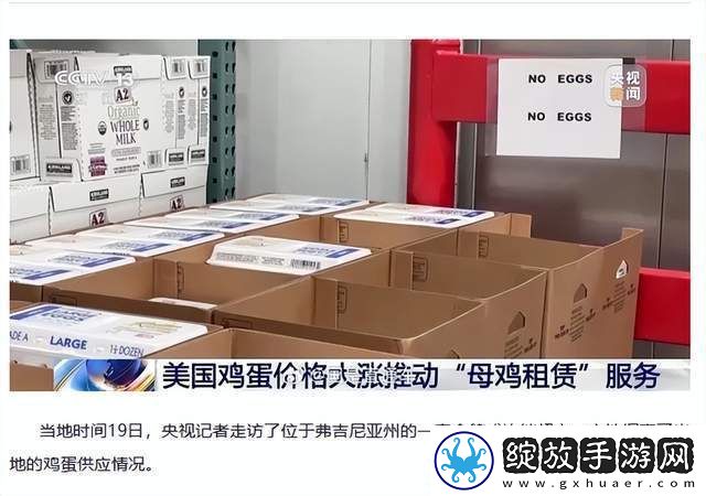 美蛋价飙升催热母鸡租赁