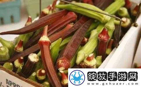 探索草莓樱桃色多多绿巨人秋葵的独特魅力