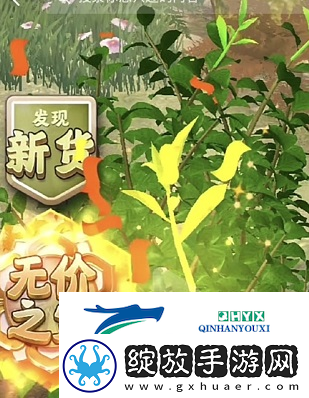 夺笋高手婺源茗眉怎么获得