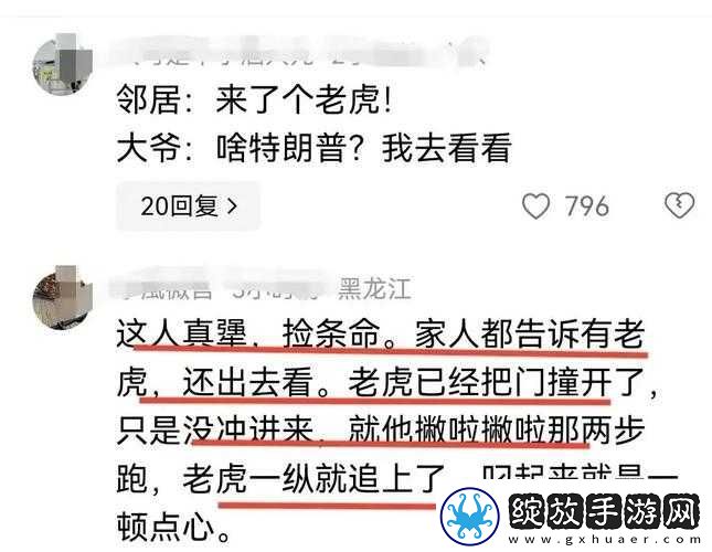 完达山1号东北虎进村背后