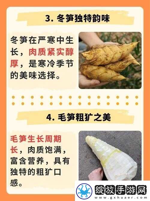 迷你世界竹笋获取攻略
