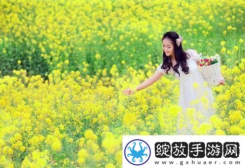 亚成成品四叶草破解版