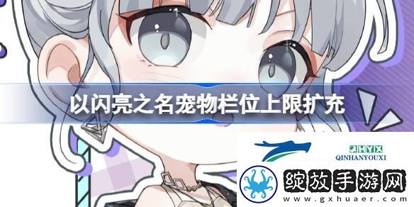 宠物家庭托管栏位上限扩充功能介绍