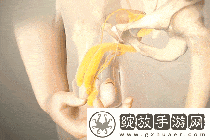 行房时勃不起怎么办