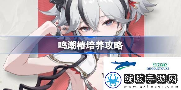 鸣潮椿声骸武器阵容推荐