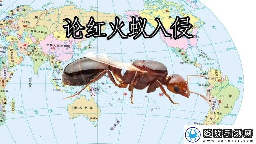 红火蚁已入侵我国12省份