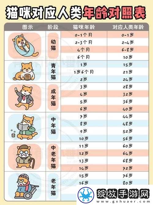 如何通过观察猫年龄大小的方法智慧运用在资源管理中