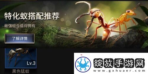 小小蚁国特化蚁阵容搭配推荐