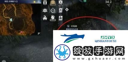 黑色沙漠硕大而特别的花在哪