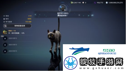 黑色沙漠手游黑色瘦猫任务怎么做