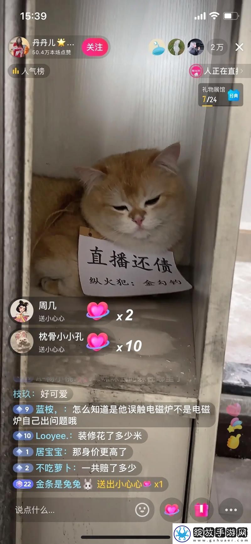 小猫直播