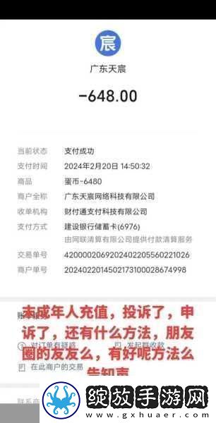 蛋仔派对退款遇阻全面解析不成功原因及解决秘籍