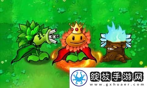 双影奇境2024年最新消息