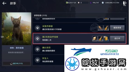 黑色沙漠手游黑色瘦猫任务怎么做