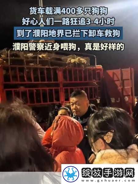 春节归家奇遇记友车内满载爱犬带窝共赴团圆路