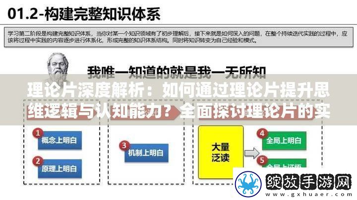 理论片深度解析