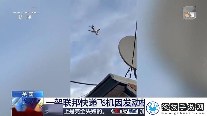 鸟击致发动机起火