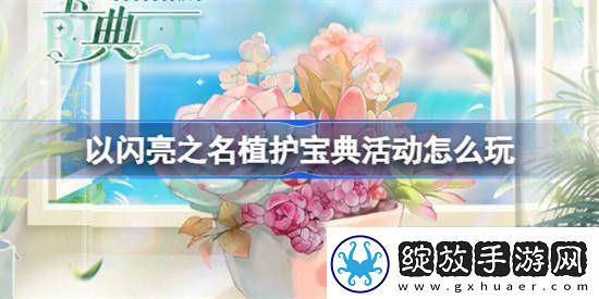 以闪亮之名植护宝典活动怎么玩