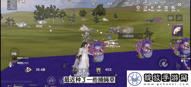 妄想山海捕蝇草刷新地点全揭秘