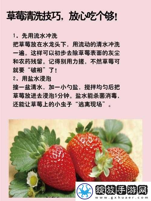 如何安全下载草莓视频黄版旧版本