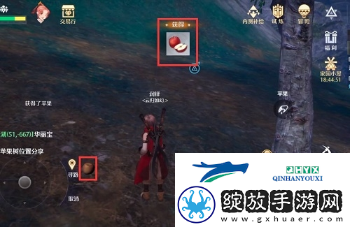 诺亚之心苹果树在哪