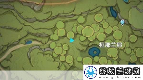 原神探秘解锁兰伊舍的谜语挑战智慧与冒险的双重盛宴