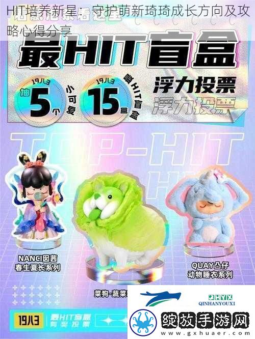 HIT培养新星