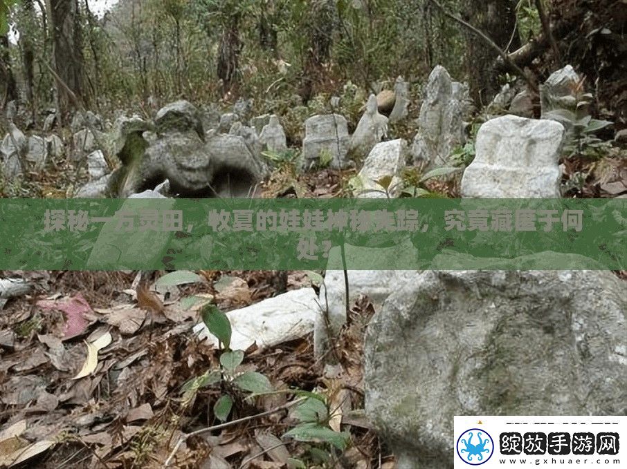 探秘一方灵田