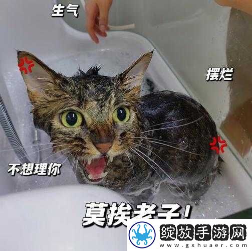 总有刁民想害朕第37关怎么过