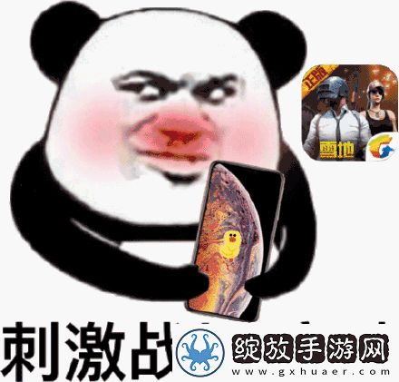 如何在绝地求生刺激战场中高效设置表情动作并管理资源