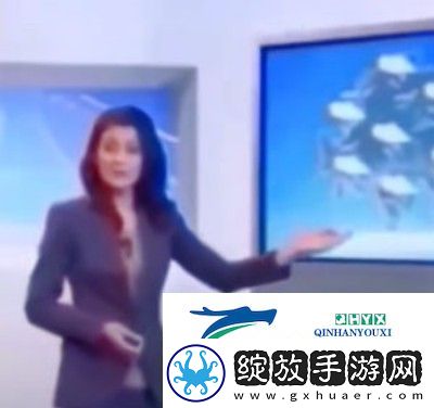 海公牛是什么梗