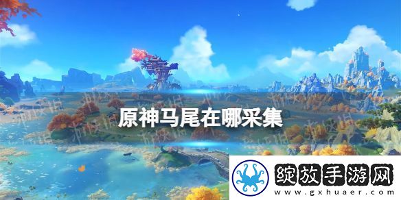 原神马尾在哪采集