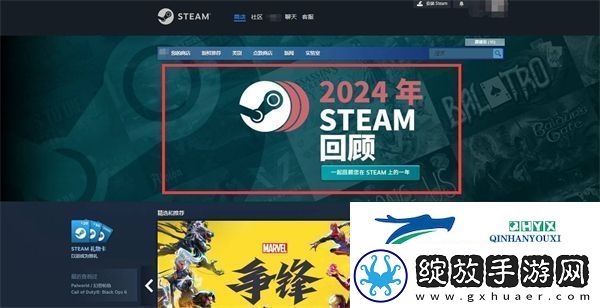 steam2024年度回顾怎么看
