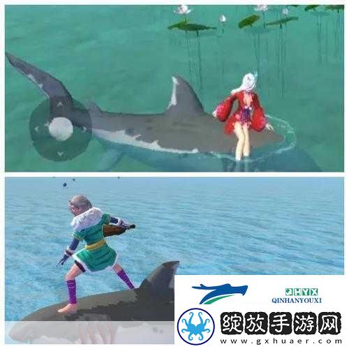 创造与魔法灰鲸鲨驯服饲料大揭秘