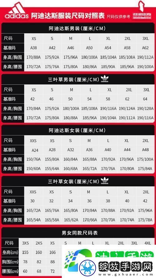 三叶草M码与欧洲码区别网友