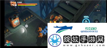 浣熊不高兴特殊房间什么用