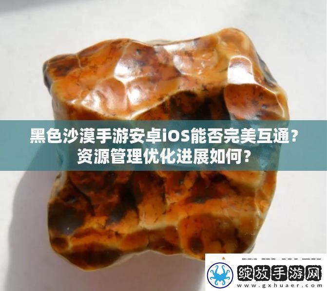 黑色沙漠手游安卓iOS能否完美互通