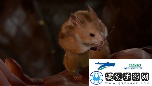 博德之门3去哪里找仓鼠