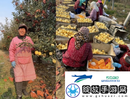 荒野迷城助农行动玩游戏做公益