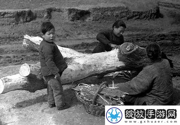 1962年