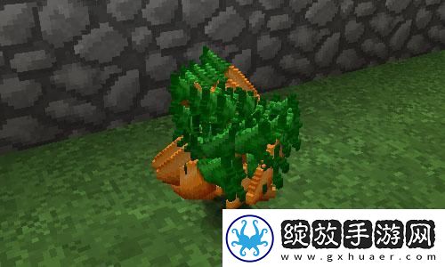 掌控指尖的舞蹈