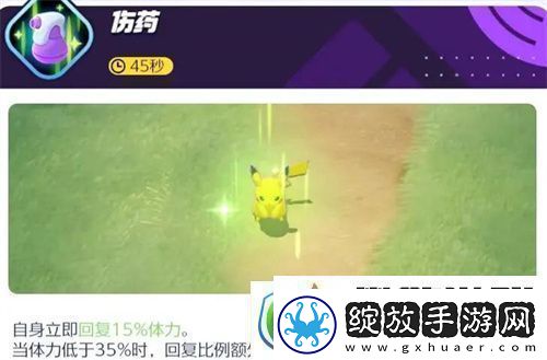 宝可梦大集结胖可丁对战道具怎么选
