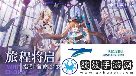 纯白和弦饭劵怎么用