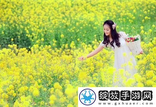 3000部末年禁止电影-3000部末年禁止电影全集无删减版v0.75