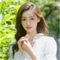 樱花导视剧情版
