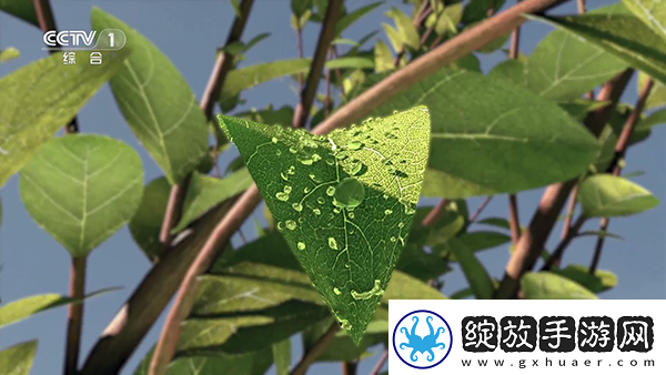 c哭白丝数学课代下载-c哭白丝数学课代下载