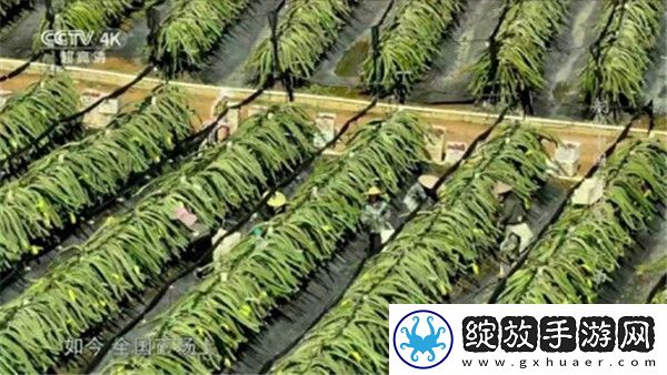 三亚私人高清影院品牌加盟西海外版截图